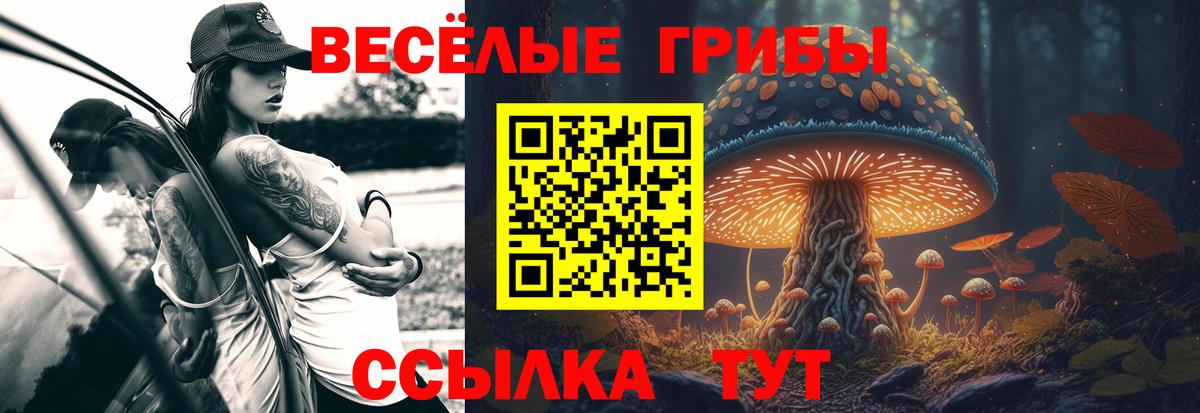 Псилоцибиновые грибы мухоморы Советский